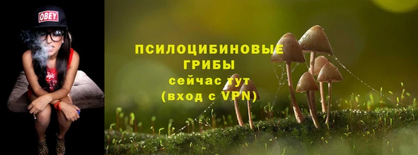 тгк Семикаракорск
