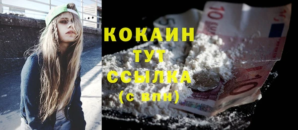 дмт Абаза