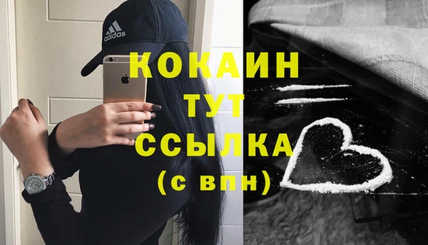 мдпв Семёнов